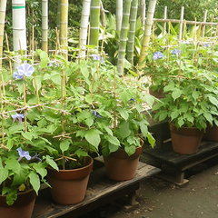 イベントの様子の画像