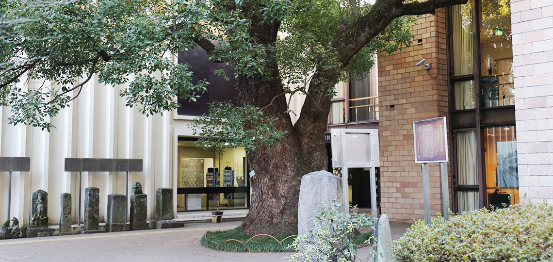 郷土資料館の画像