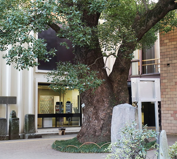 郷土資料館の画像