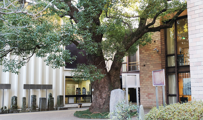 資料館正面の画像