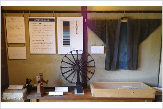 テーマ展示の画像