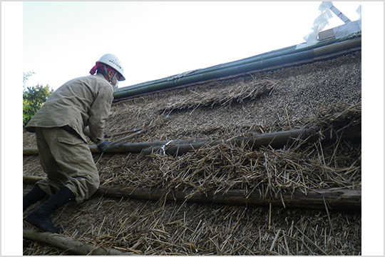 文化財建造物の維持管理の画像