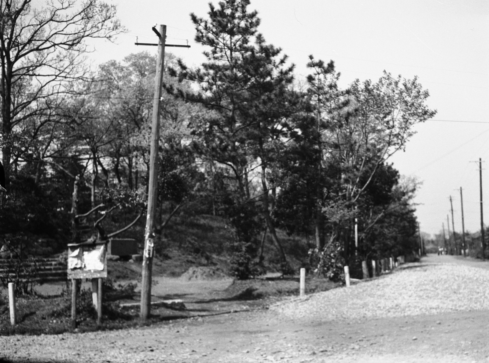 世田谷城址公園（豪徳寺2-14付近）