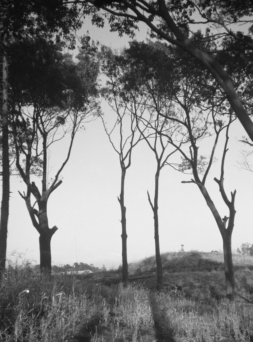 砧中学校内の古墳