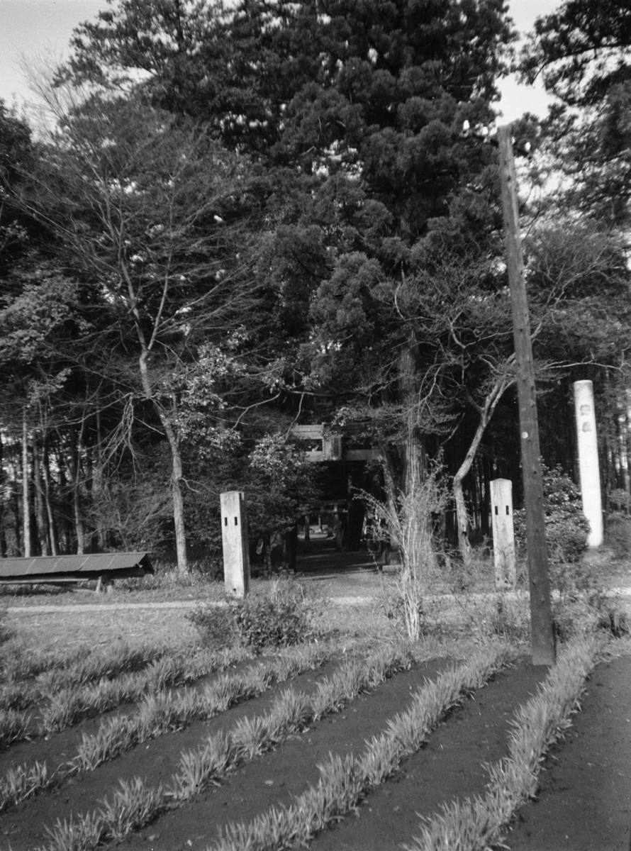 喜多見氷川神社