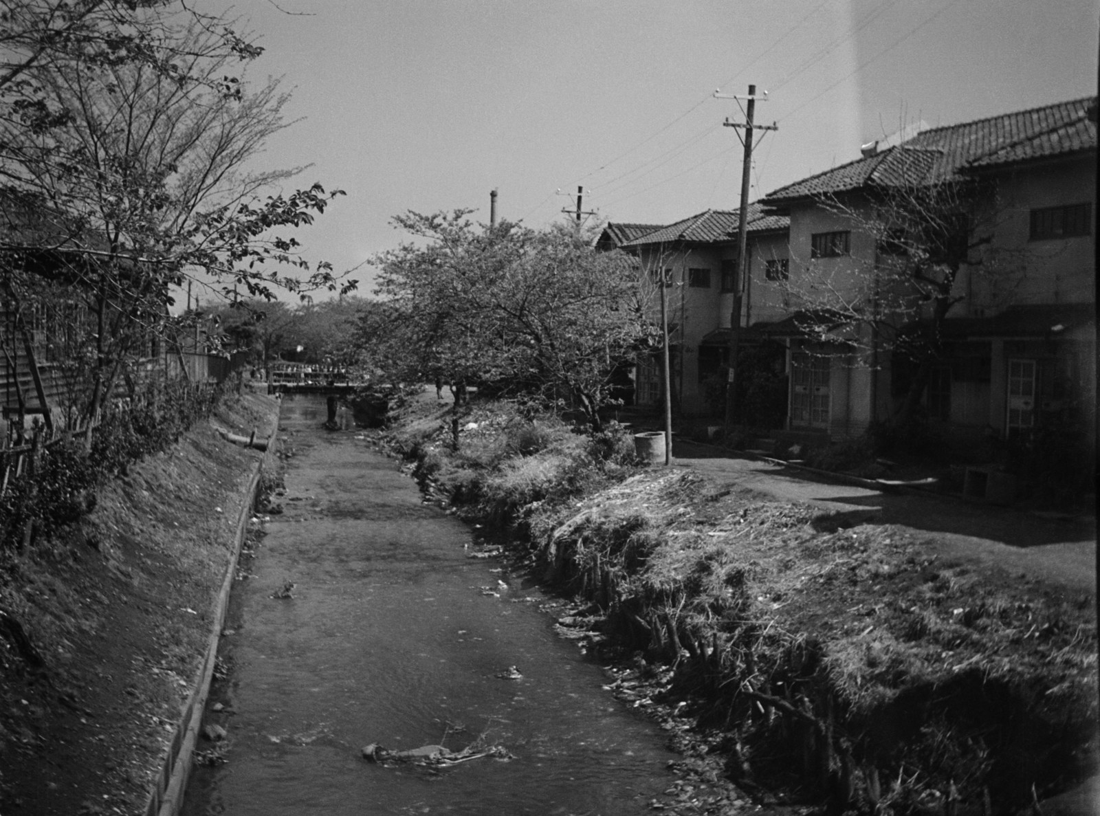 北沢用水（北沢川）上流を見る