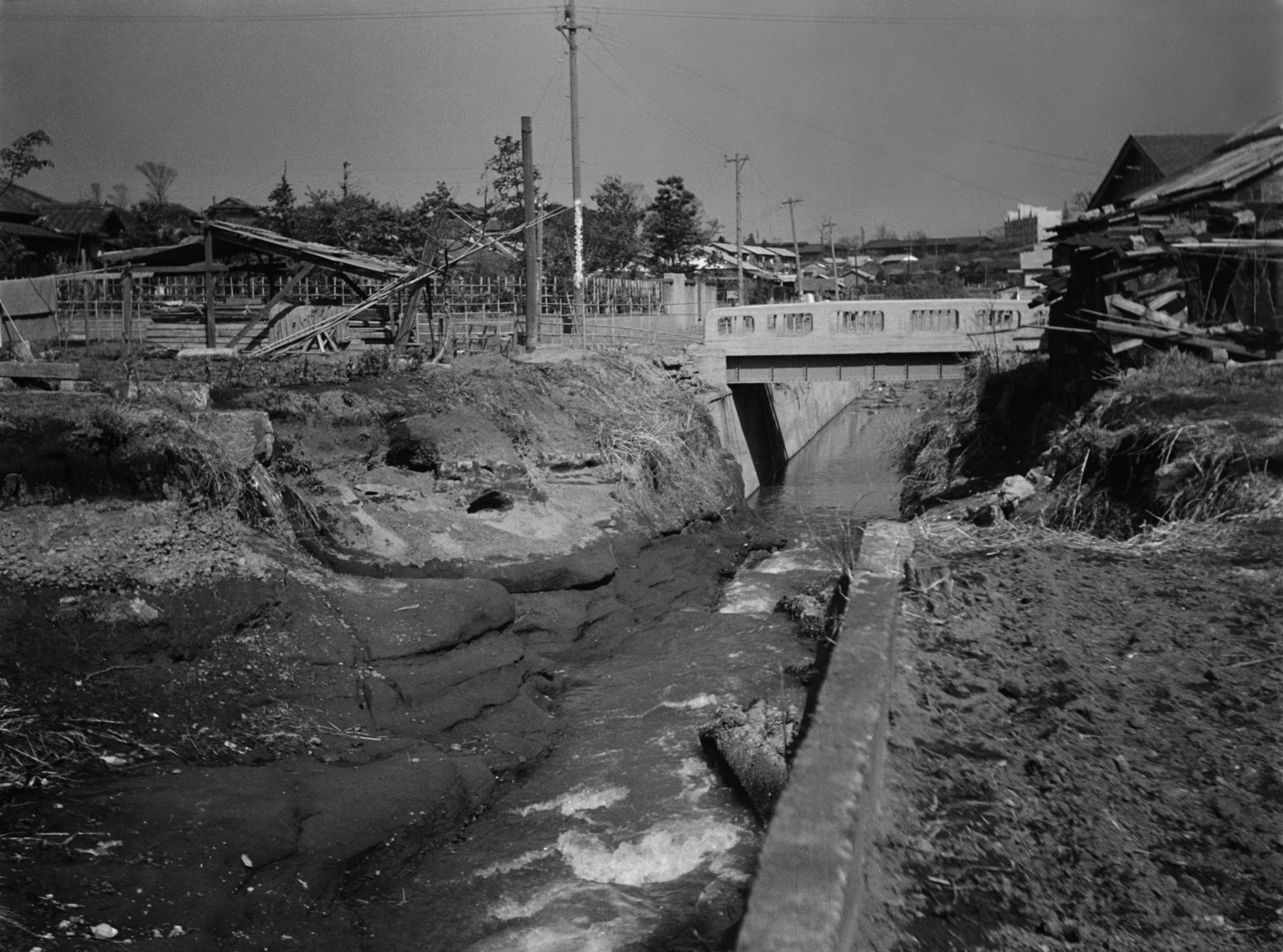 北沢川（下代田付近）