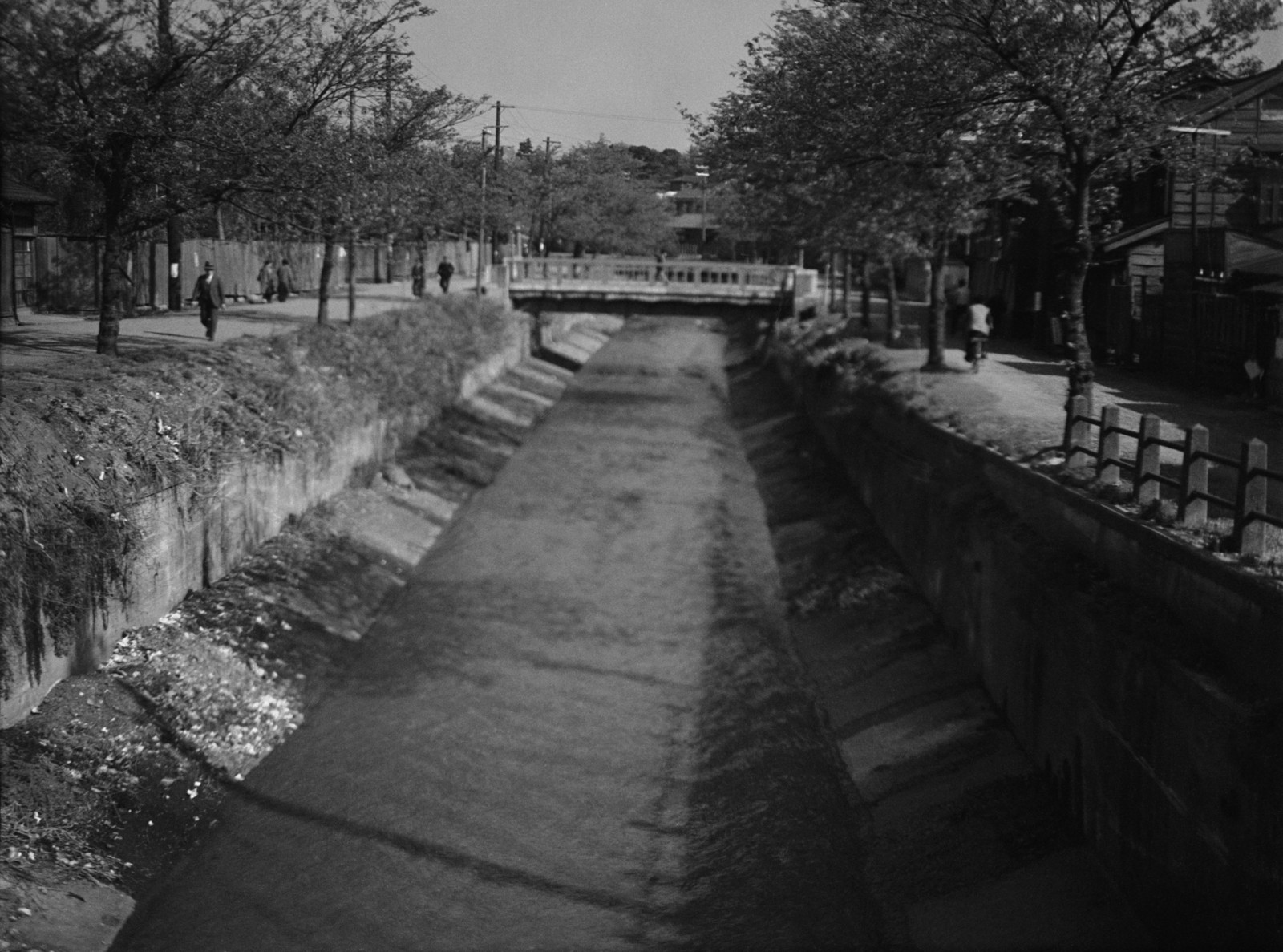 目黒川（大橋付近）