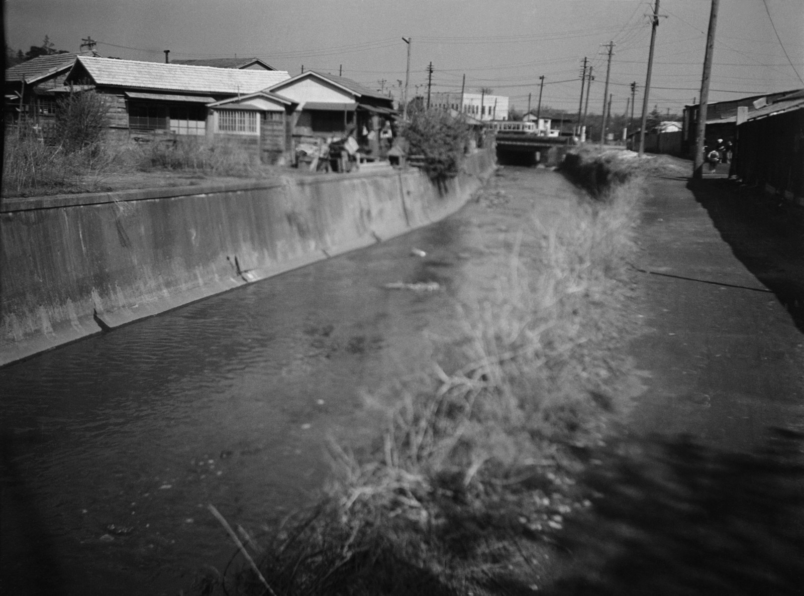 目黒川（池尻3-9・大橋付近）