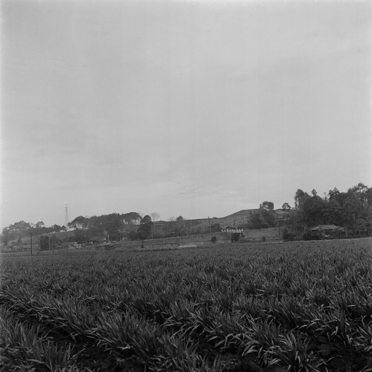 成城一丁目の高台