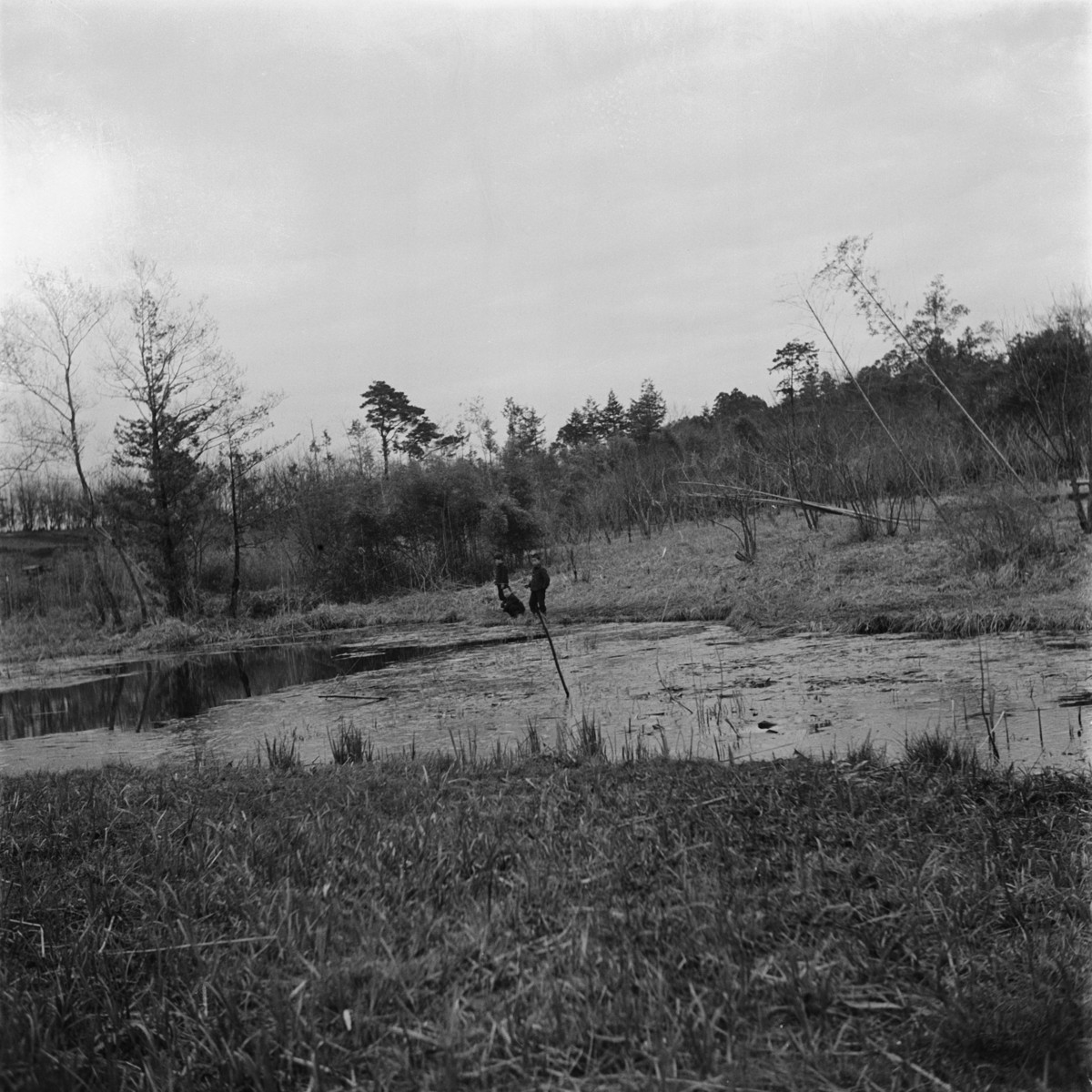 釣鐘池（祖師谷）