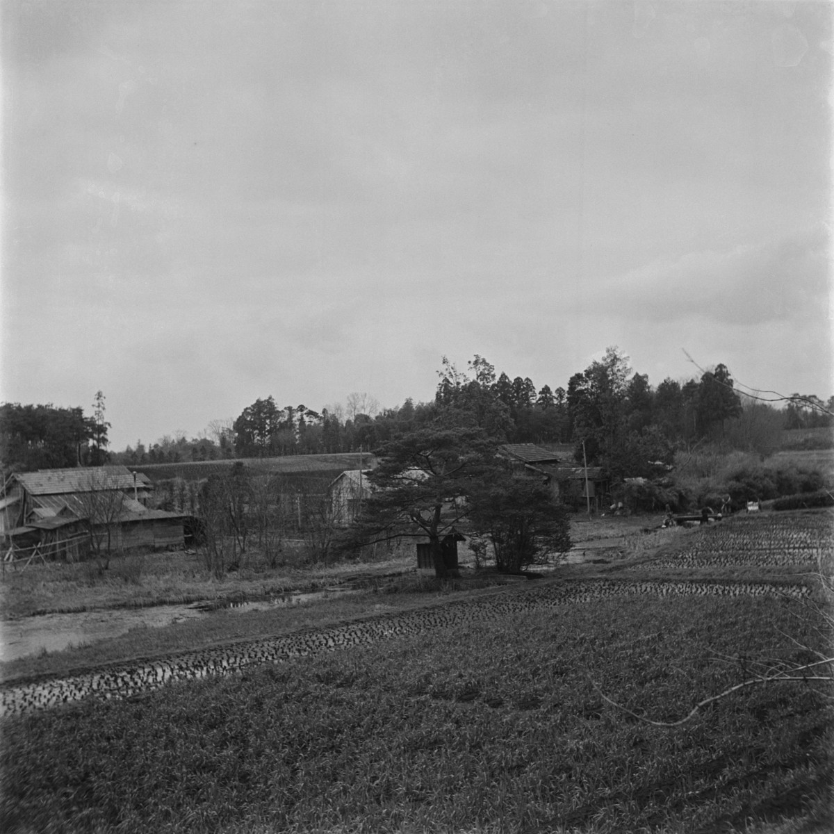 釣鐘池（祖師谷）