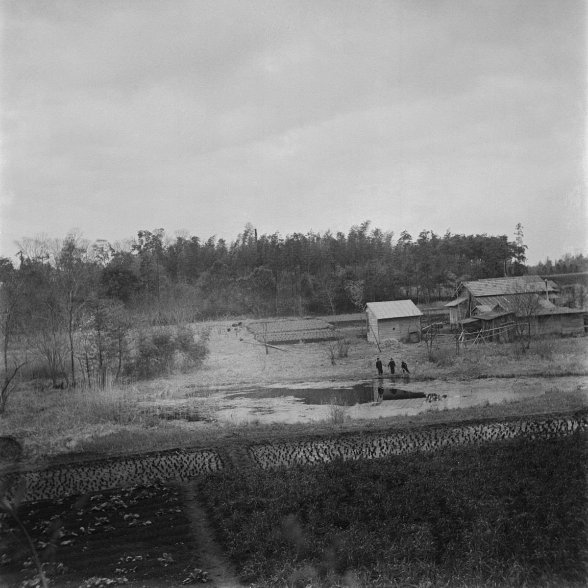 釣鐘池（祖師谷）