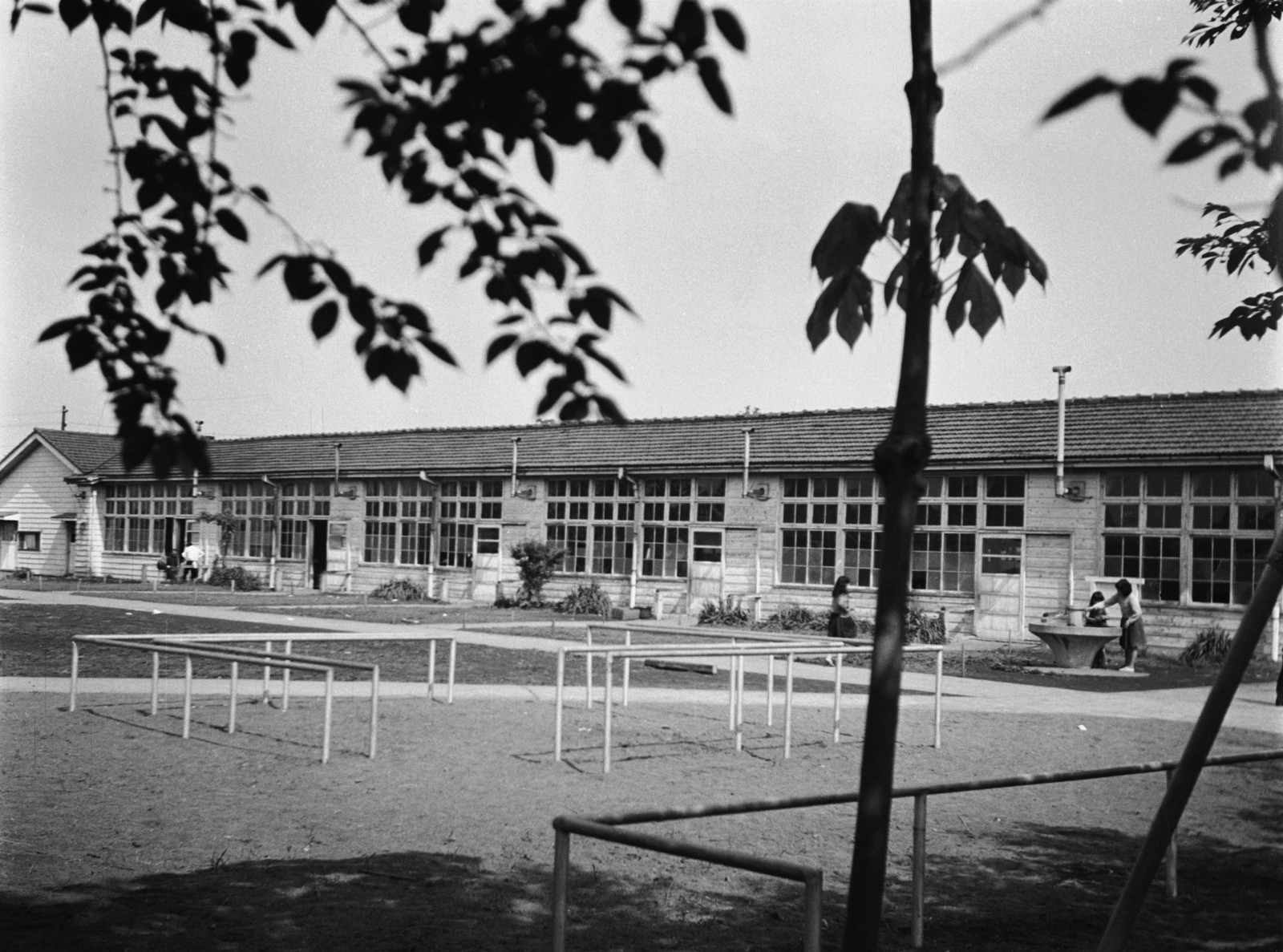 都立光明小学校・中学校