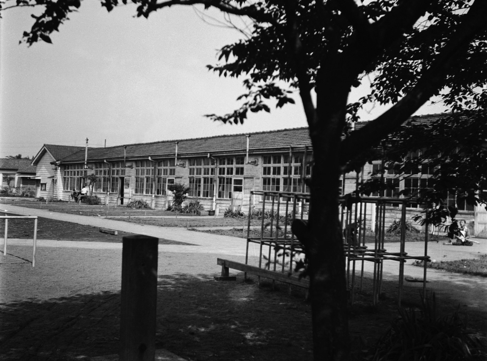 都立光明小学校・中学校