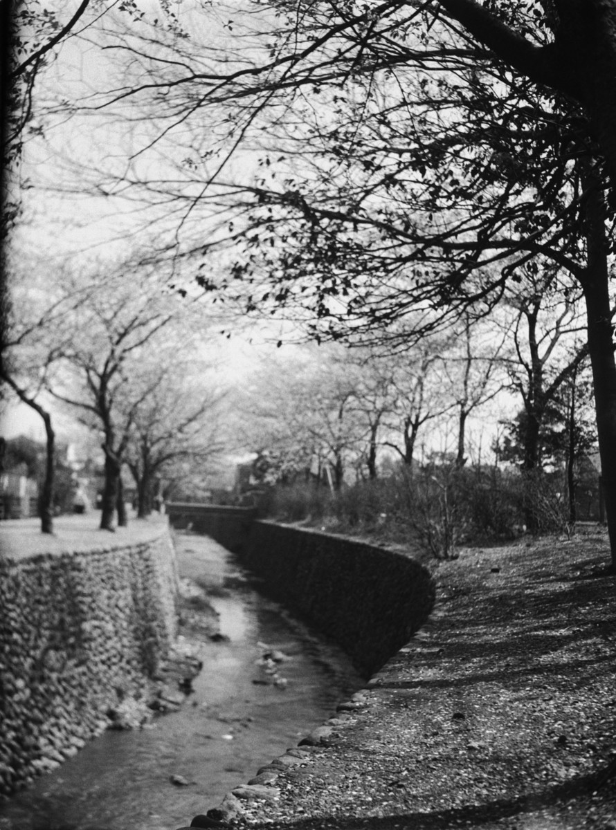 蛇崩川（駒繋神社付近）