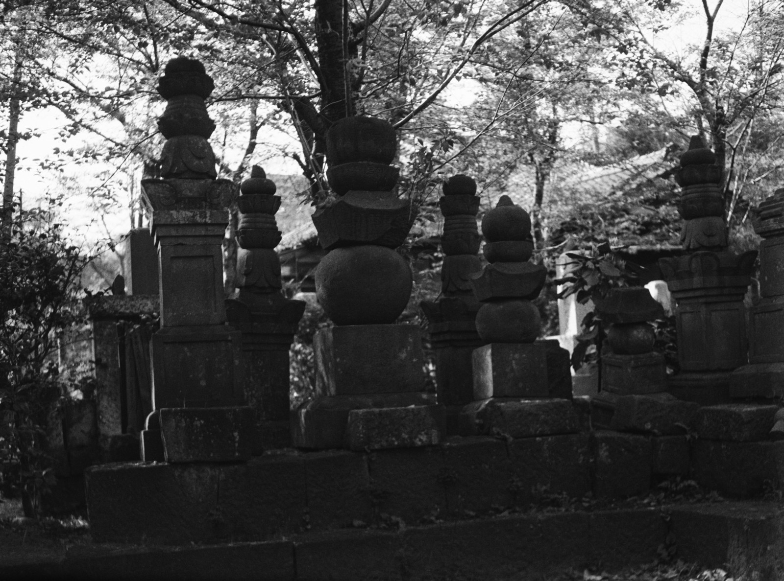 勝光院・吉良家の墓