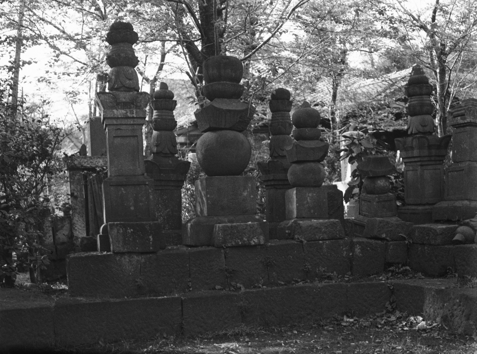 勝光院・吉良家の墓