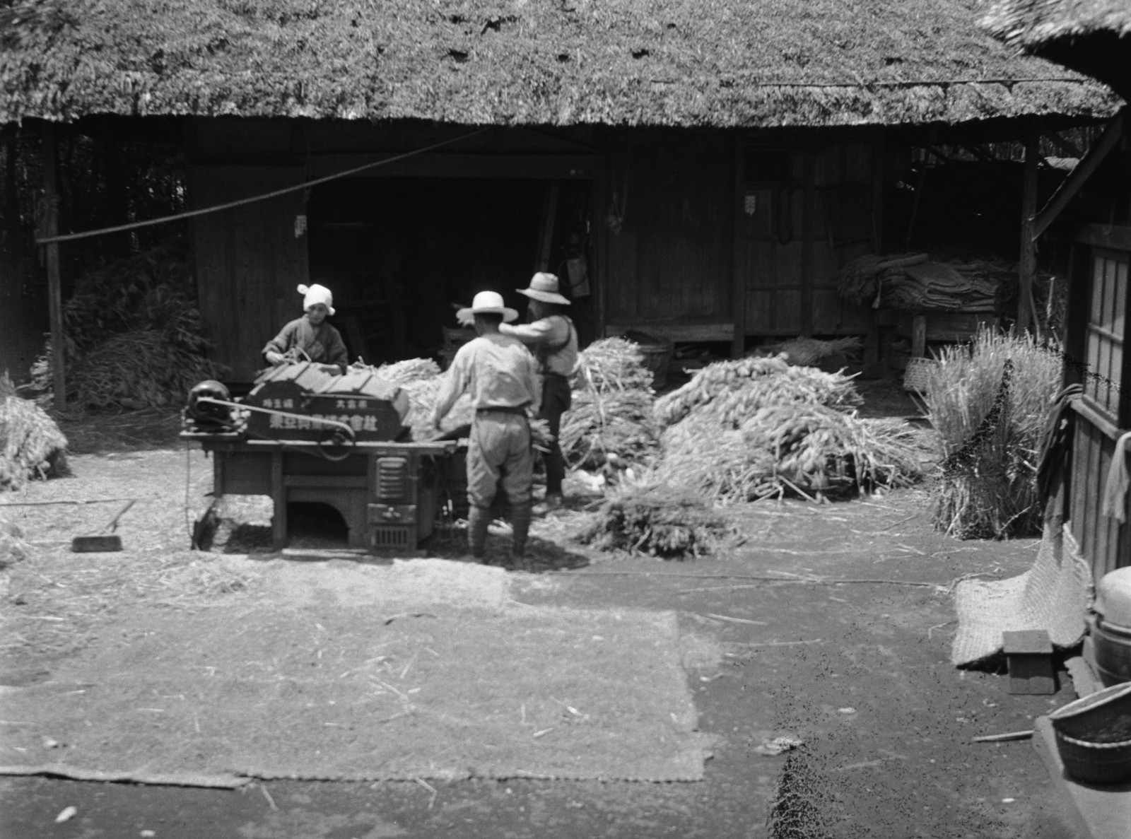 麦の脱穀（旧世田谷４丁目付近）