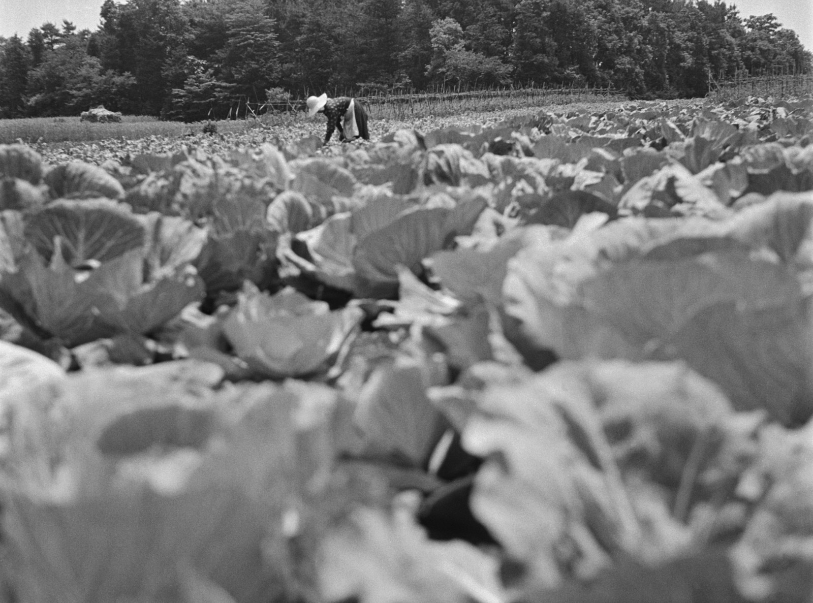 旧世田谷４丁目付近