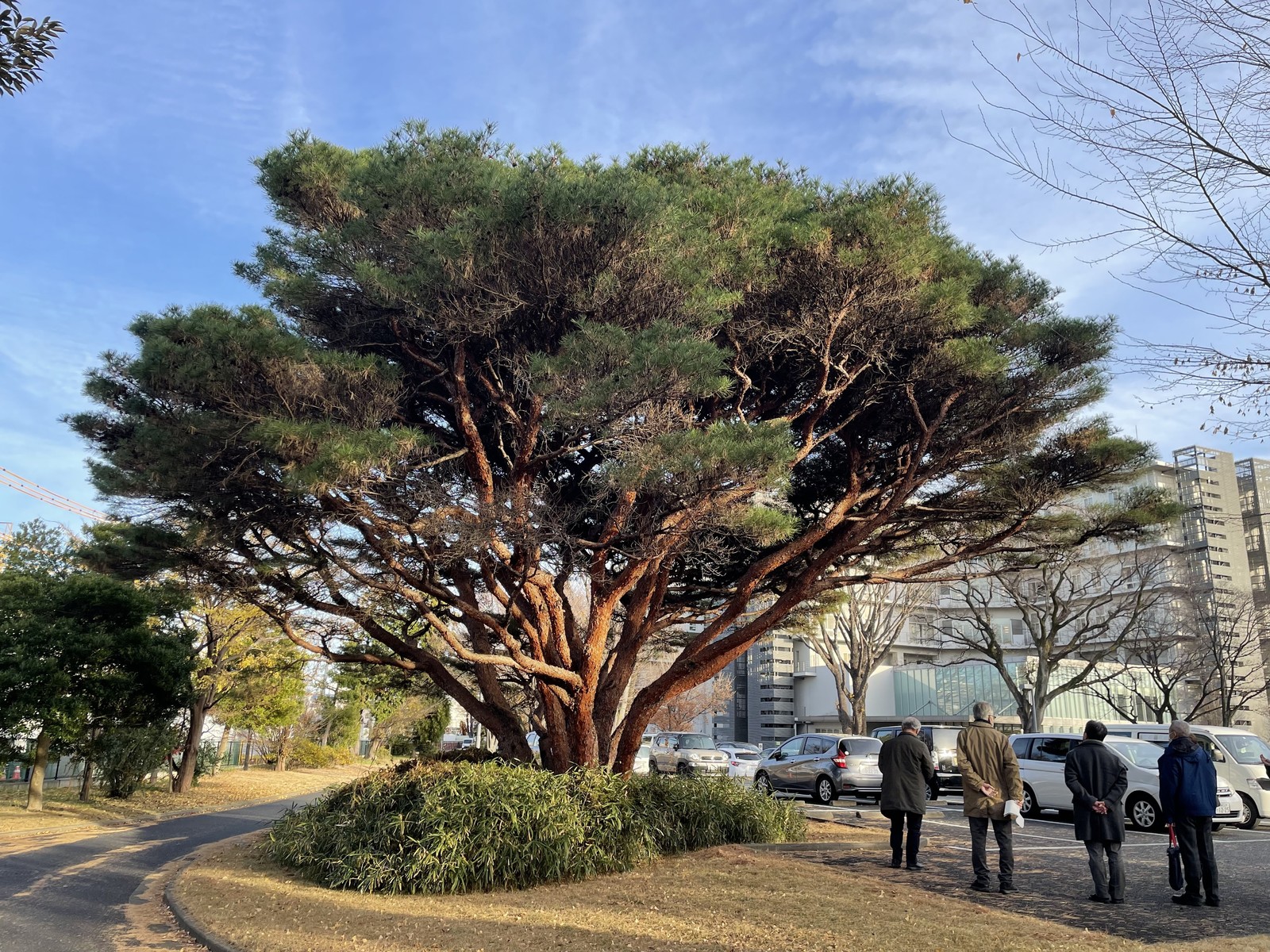 松沢病院のタギョウショウ