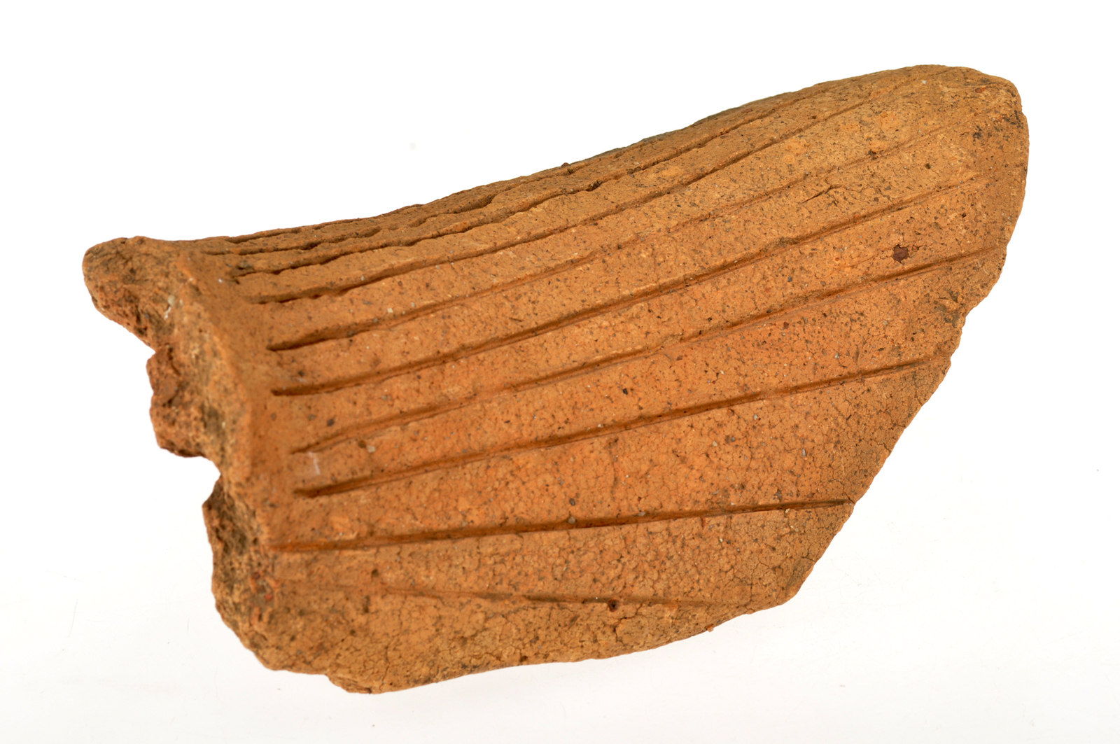 鶏・水鳥形埴輪残欠