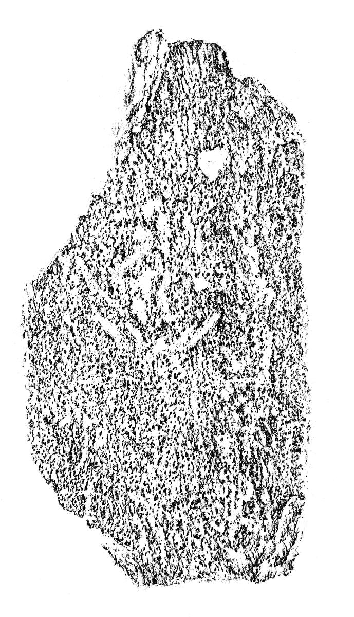 阿弥陀種子板碑片