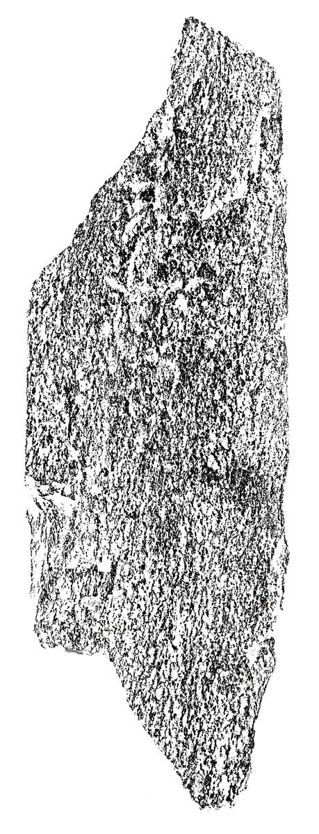 阿弥陀一尊種子板碑片