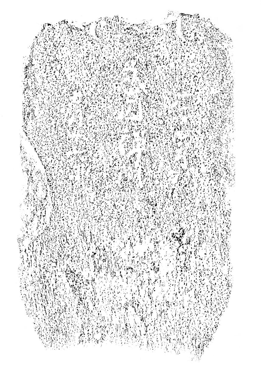 阿弥陀三尊種子板碑