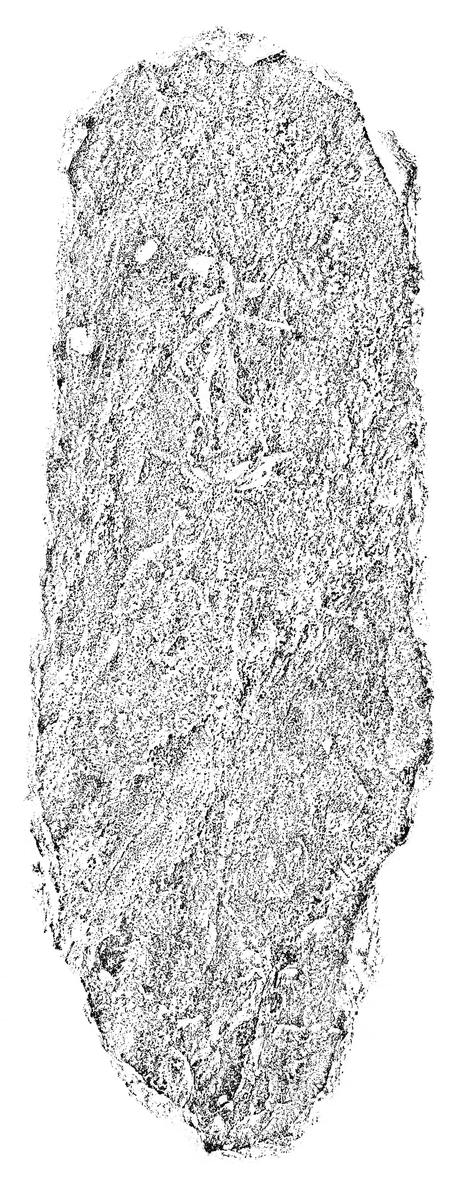 阿弥陀一尊種子板碑