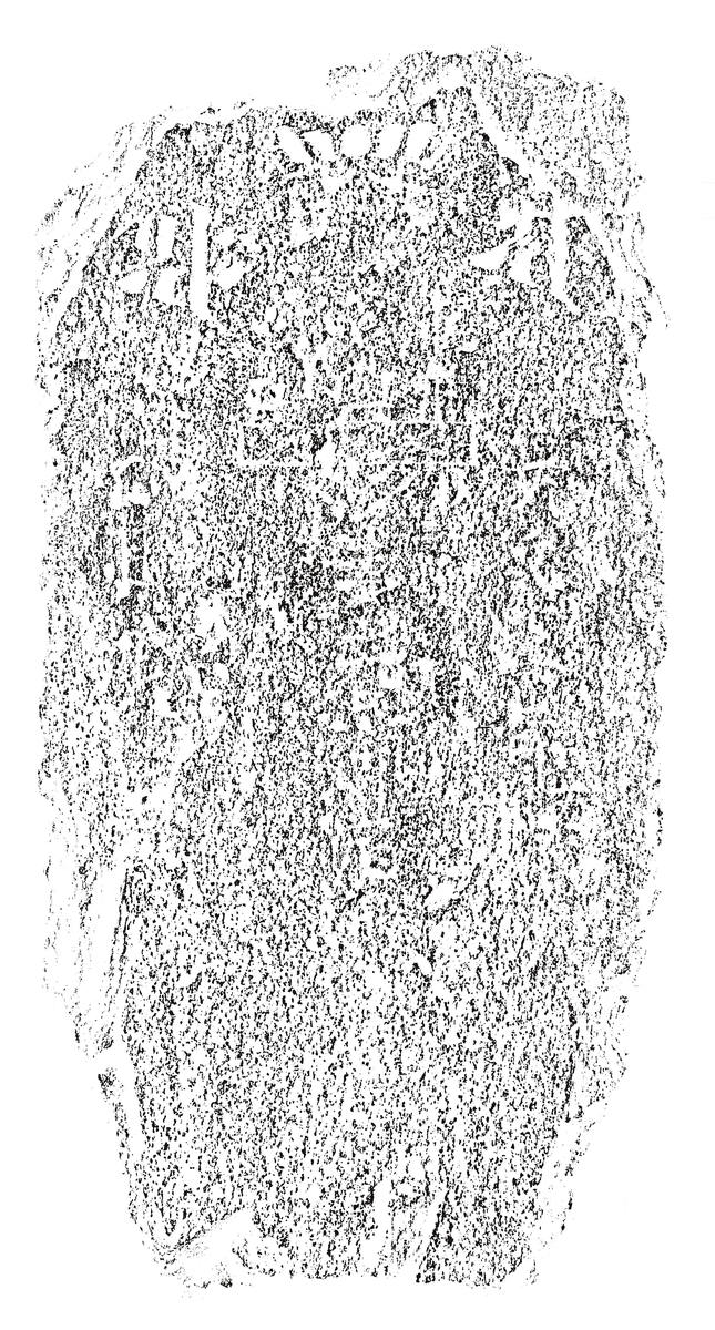阿弥陀三尊種子板碑