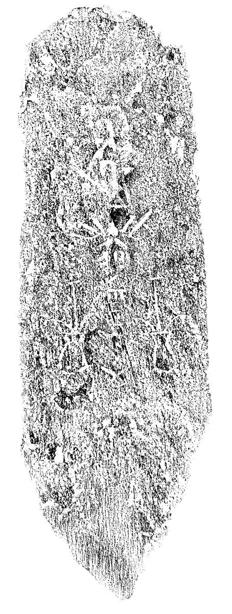 阿弥陀一尊種子板碑