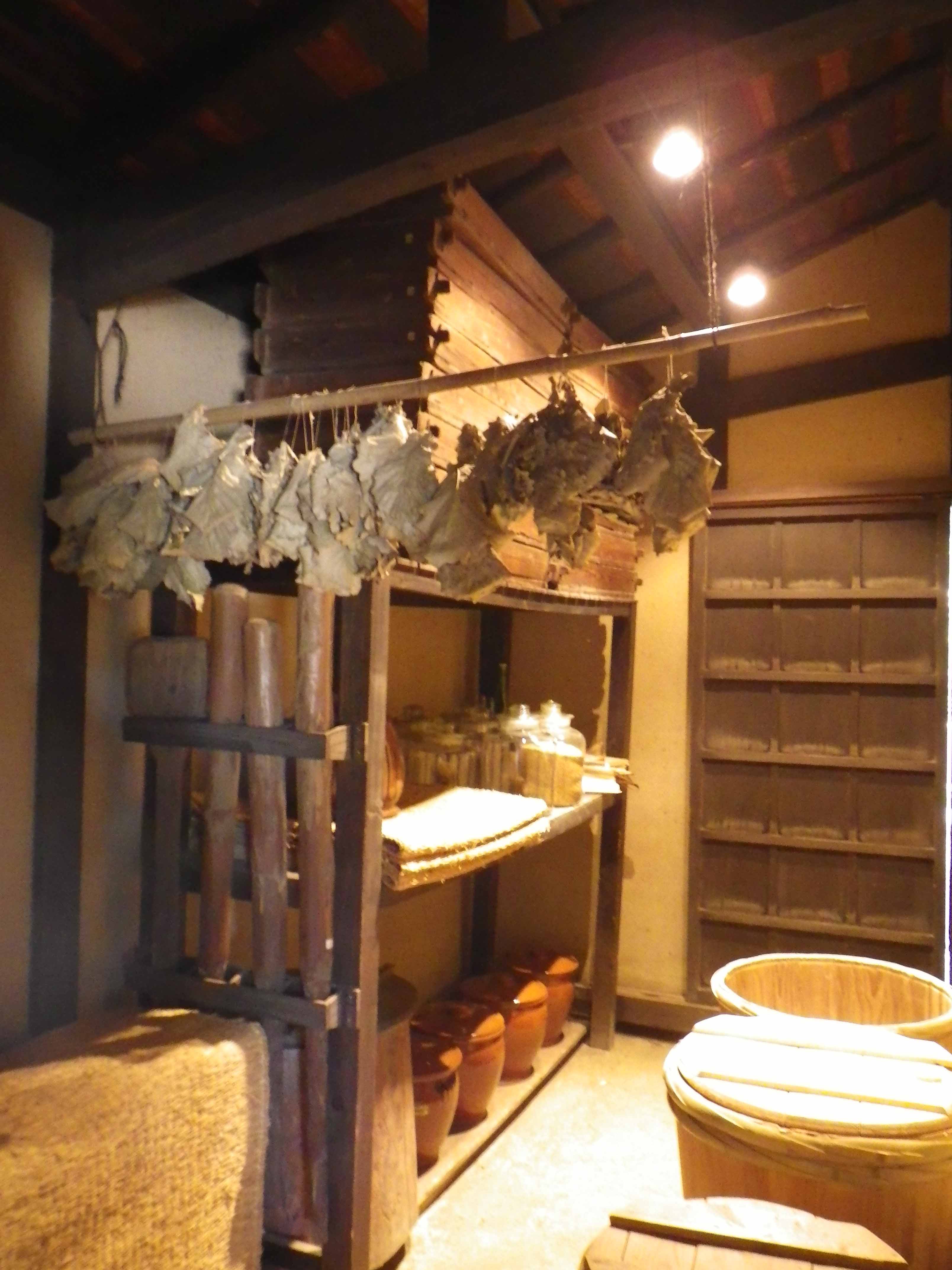 来年の柏餅用の葉