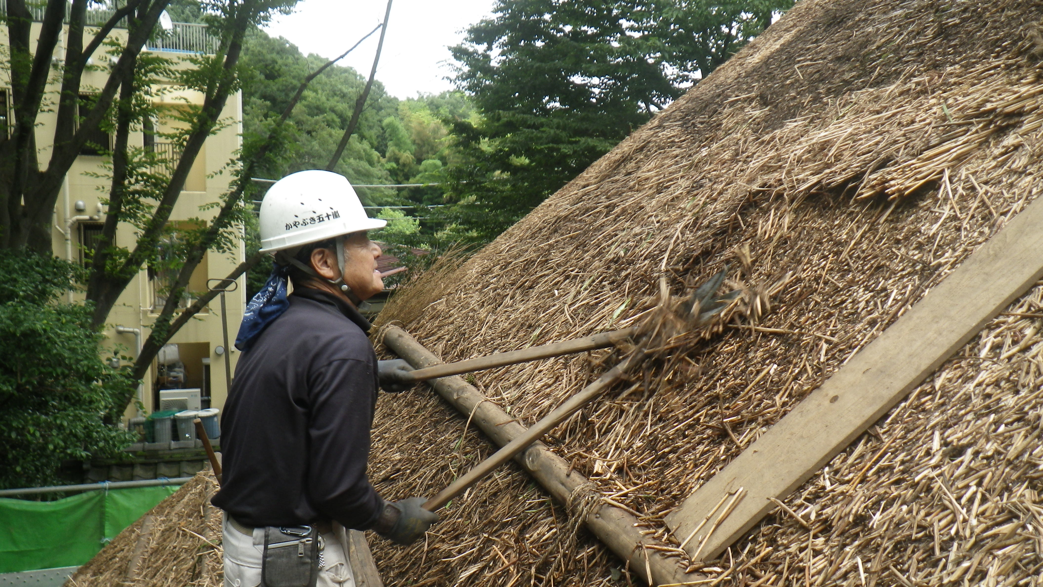 屋根の刈り込み作業