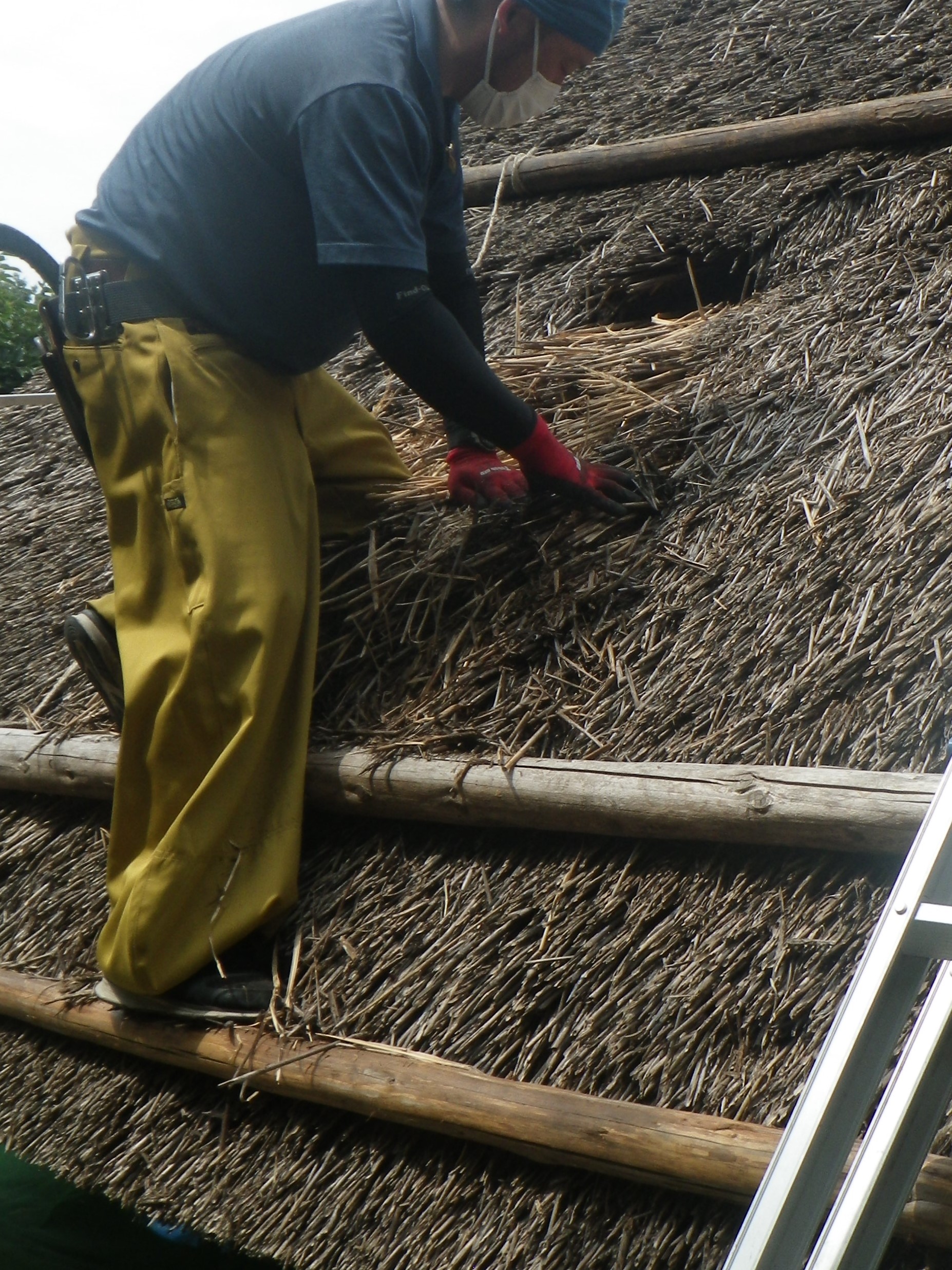 旧安藤家住宅茅葺き屋根修理の様子
