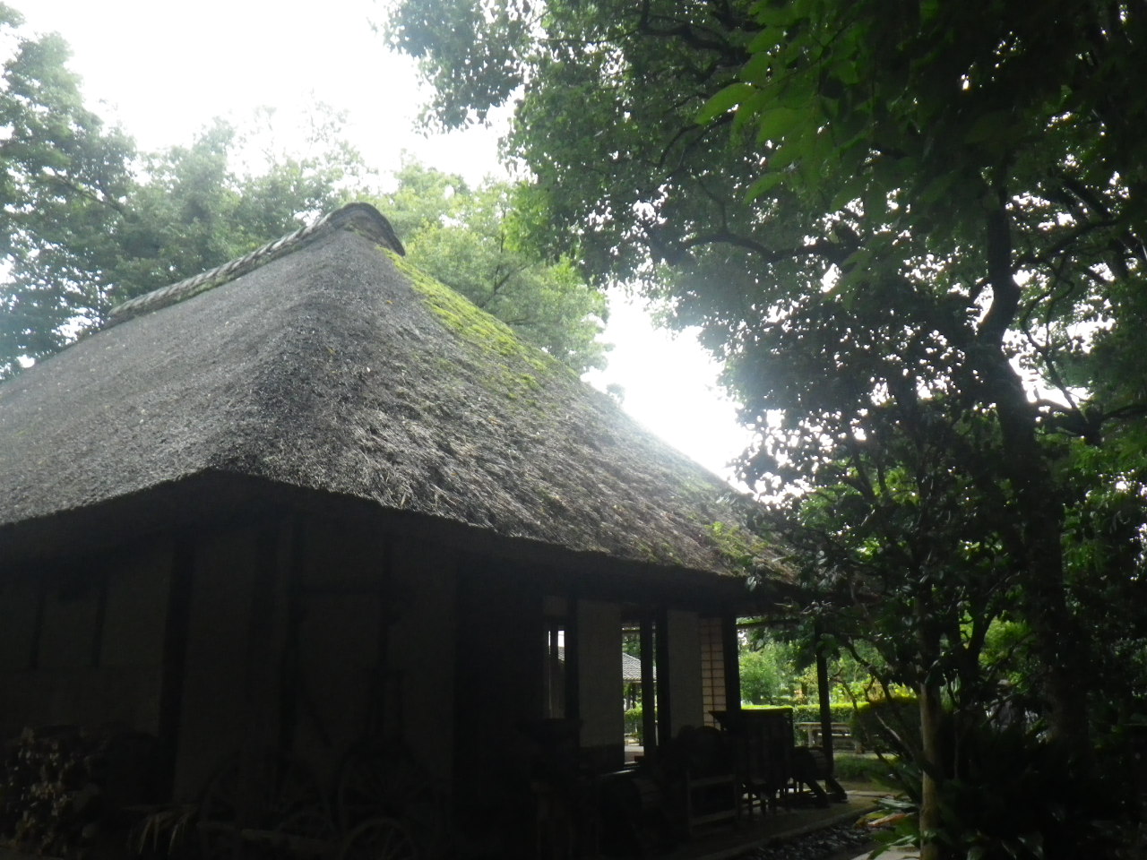 旧長崎家住宅主屋施工前写真