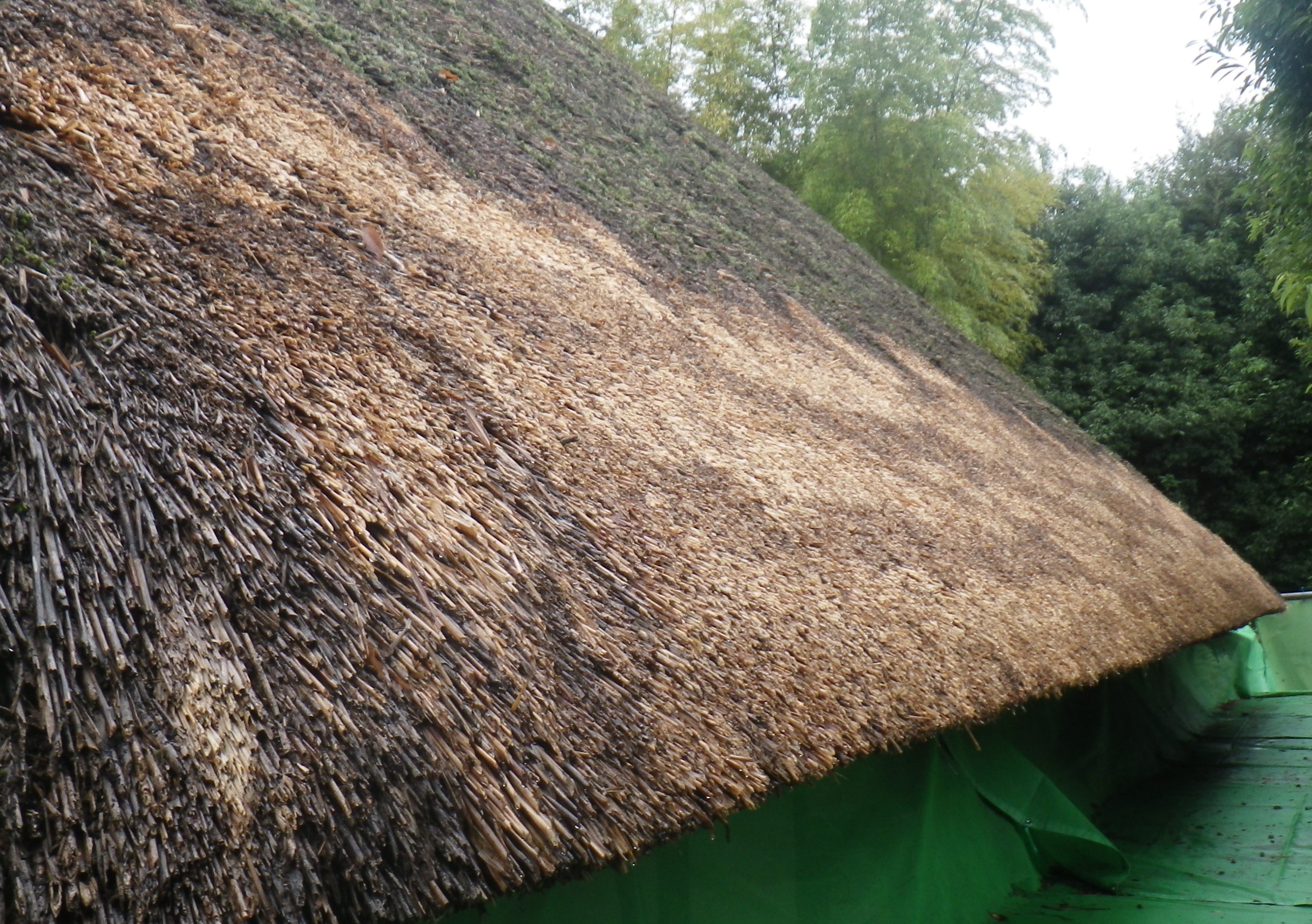 旧城田家住宅主屋の茅葺き屋根修理後の様子